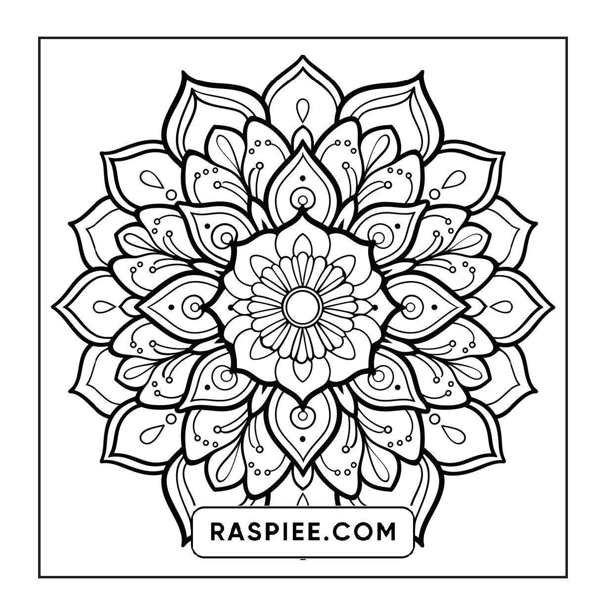 250 Mandala Adult Coloring Pages Vol.1