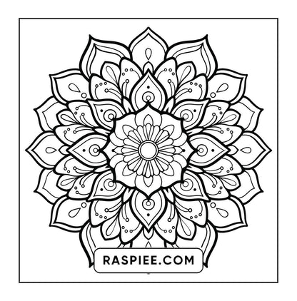250 Mandala Adult Coloring Pages Vol.1