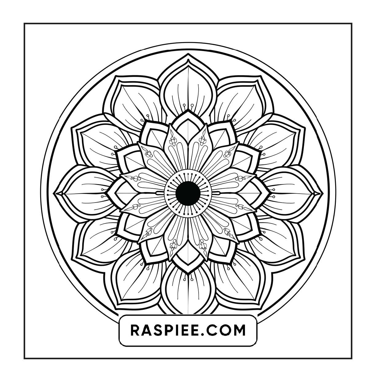 250 Mandala Adult Coloring Pages Vol.1