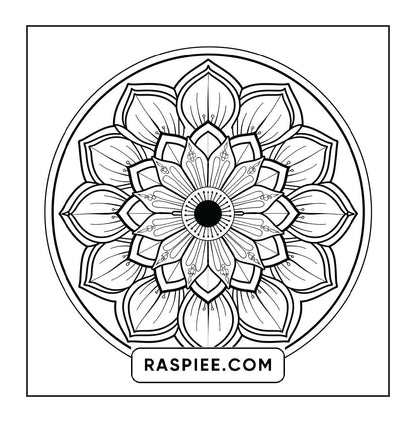 250 Mandala Adult Coloring Pages Vol.1