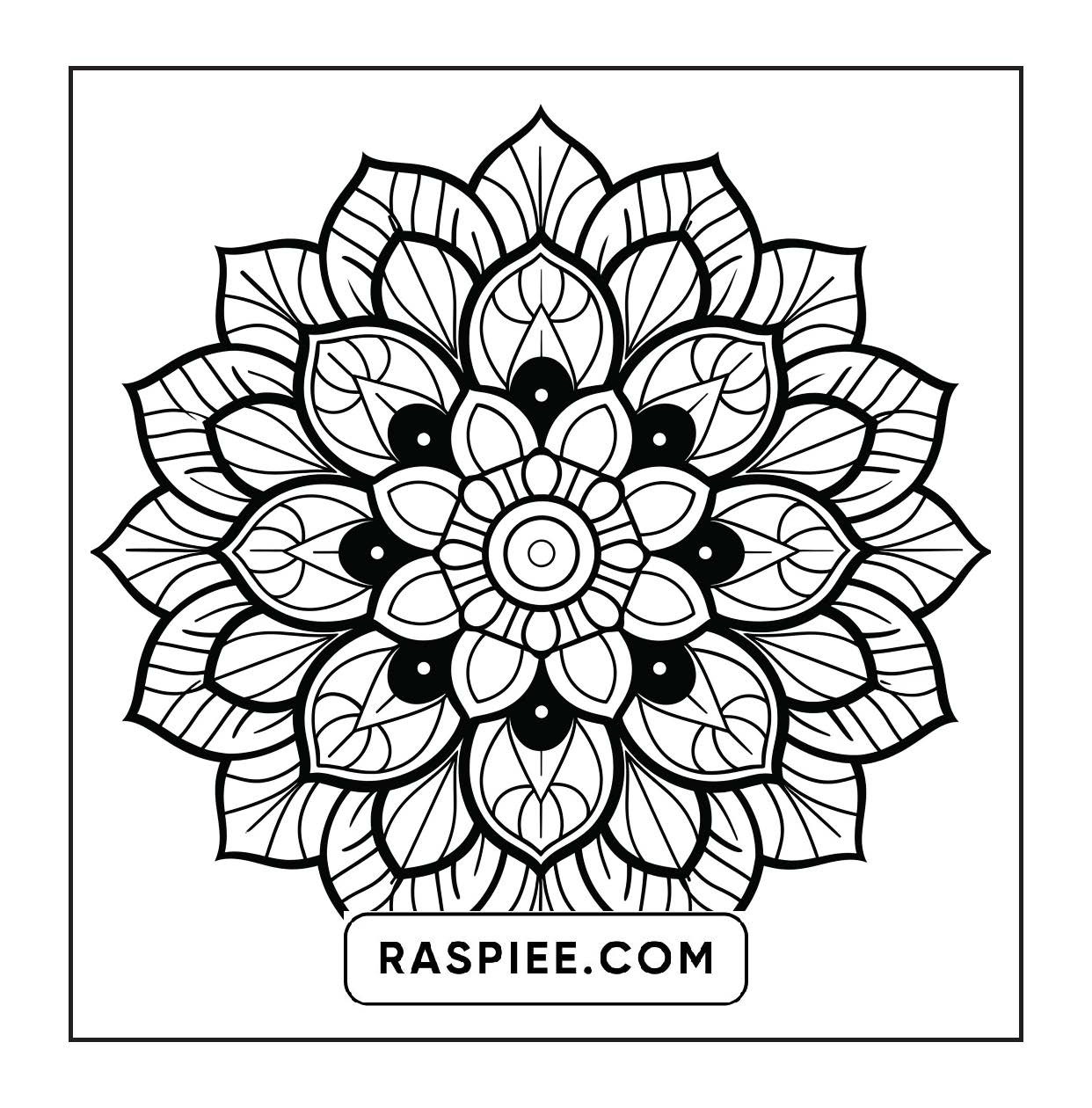 250 Mandala Adult Coloring Pages Vol.1