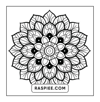 250 Mandala Adult Coloring Pages Vol.1