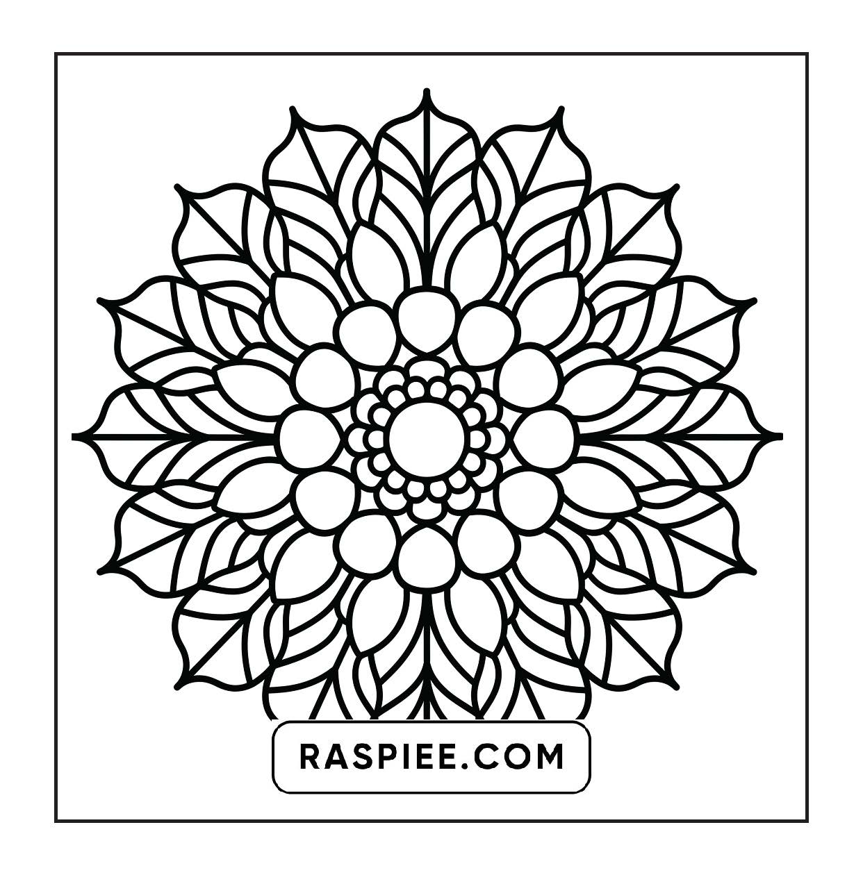 250 Mandala Adult Coloring Pages Vol.1