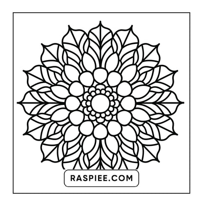 250 Mandala Adult Coloring Pages Vol.1