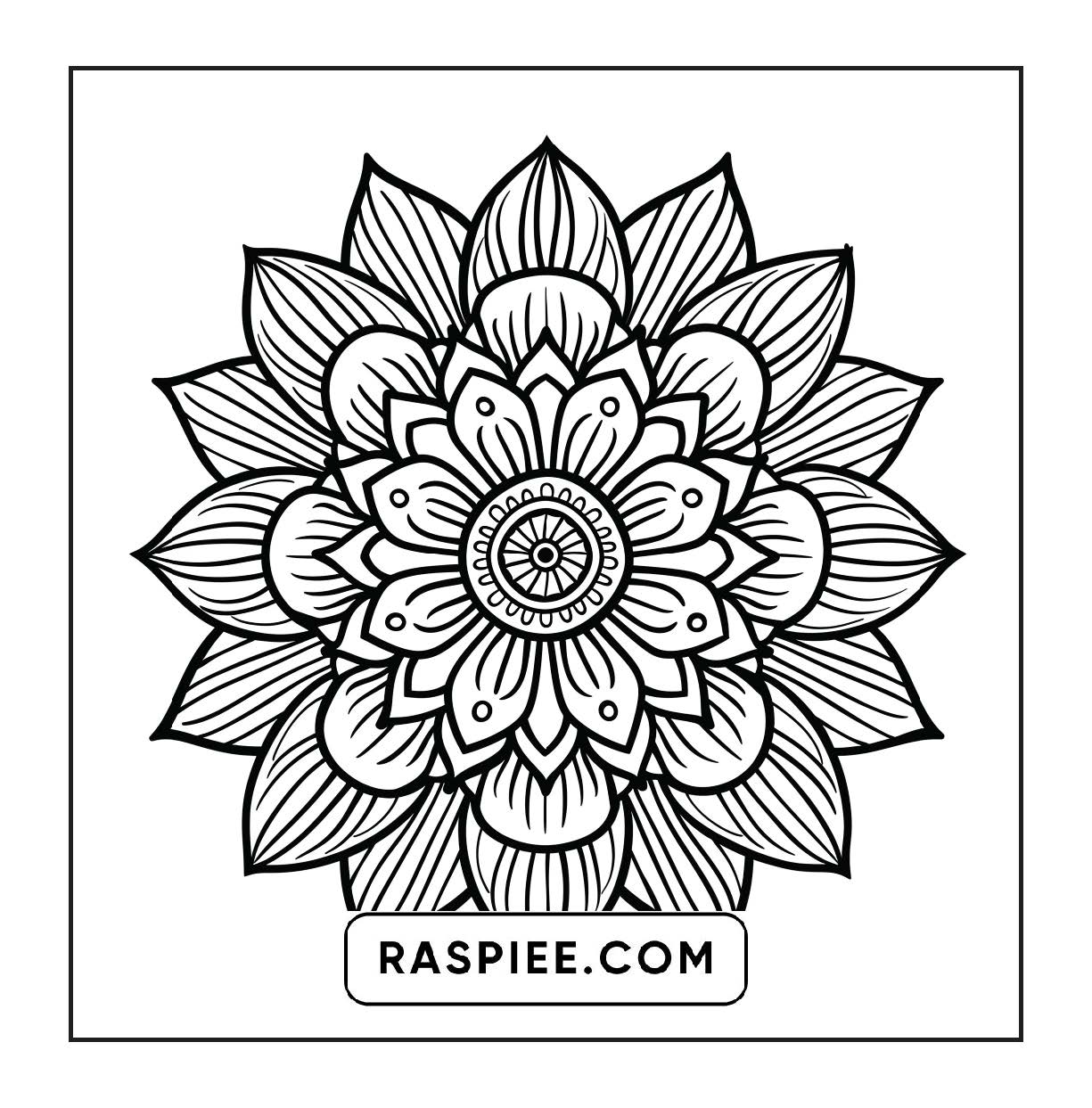 250 Mandala Adult Coloring Pages Vol.1