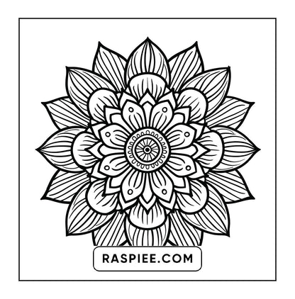 250 Mandala Adult Coloring Pages Vol.1