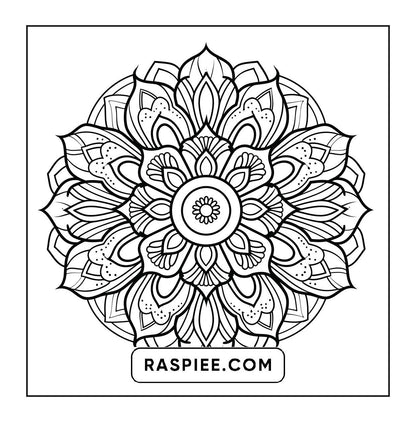 250 Mandala Adult Coloring Pages Vol.1