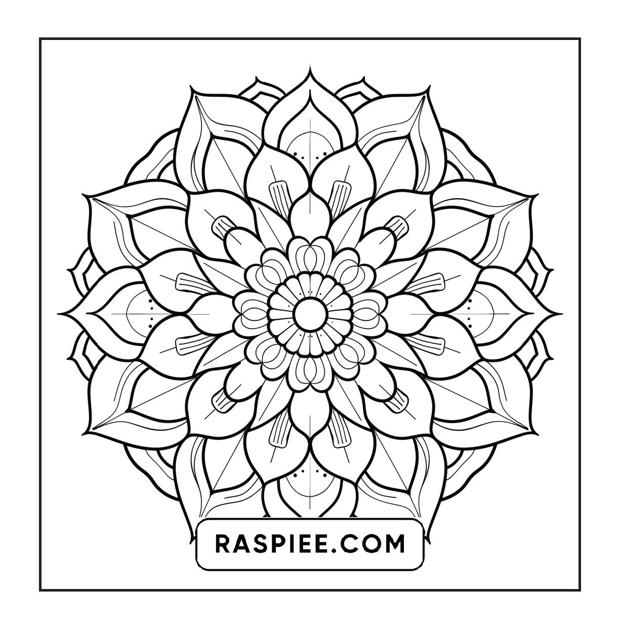 250 Mandala Adult Coloring Pages Vol.1