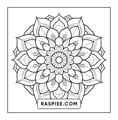 250 Mandala Adult Coloring Pages Vol.1