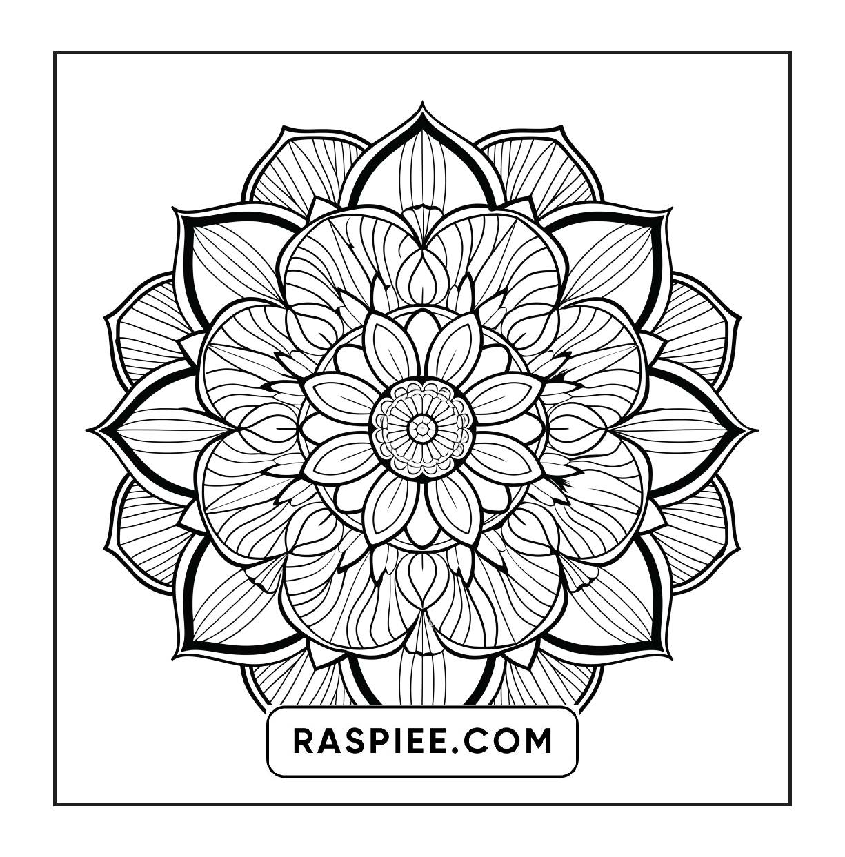 250 Mandala Adult Coloring Pages Vol.1