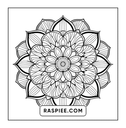 250 Mandala Adult Coloring Pages Vol.1