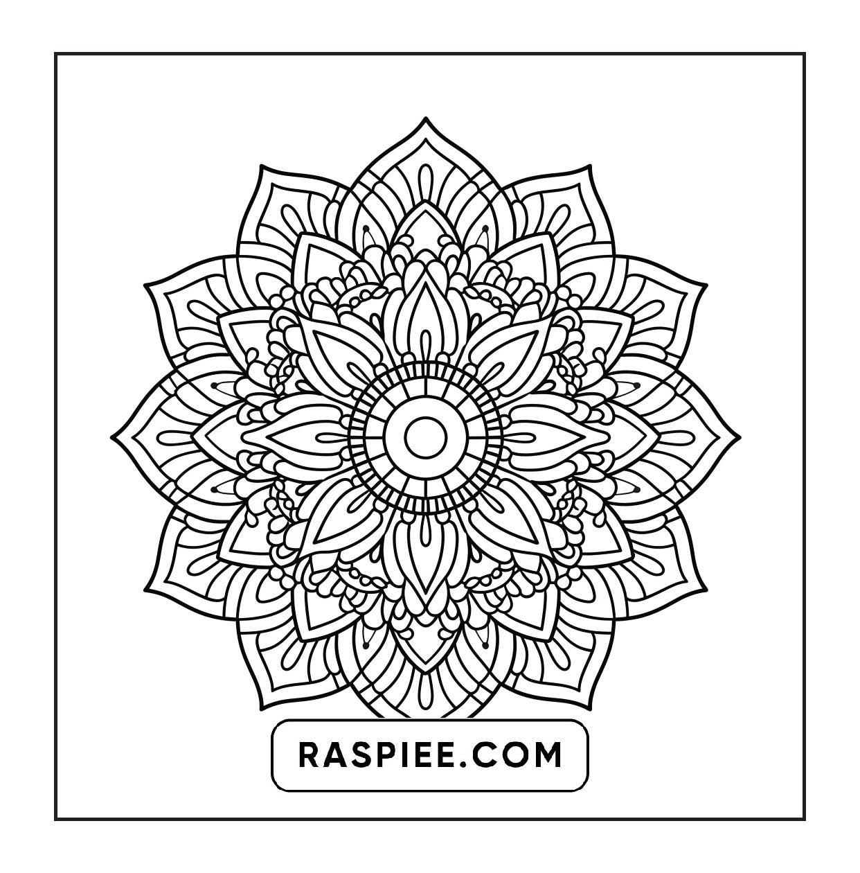 250 Mandala Adult Coloring Pages Vol.1