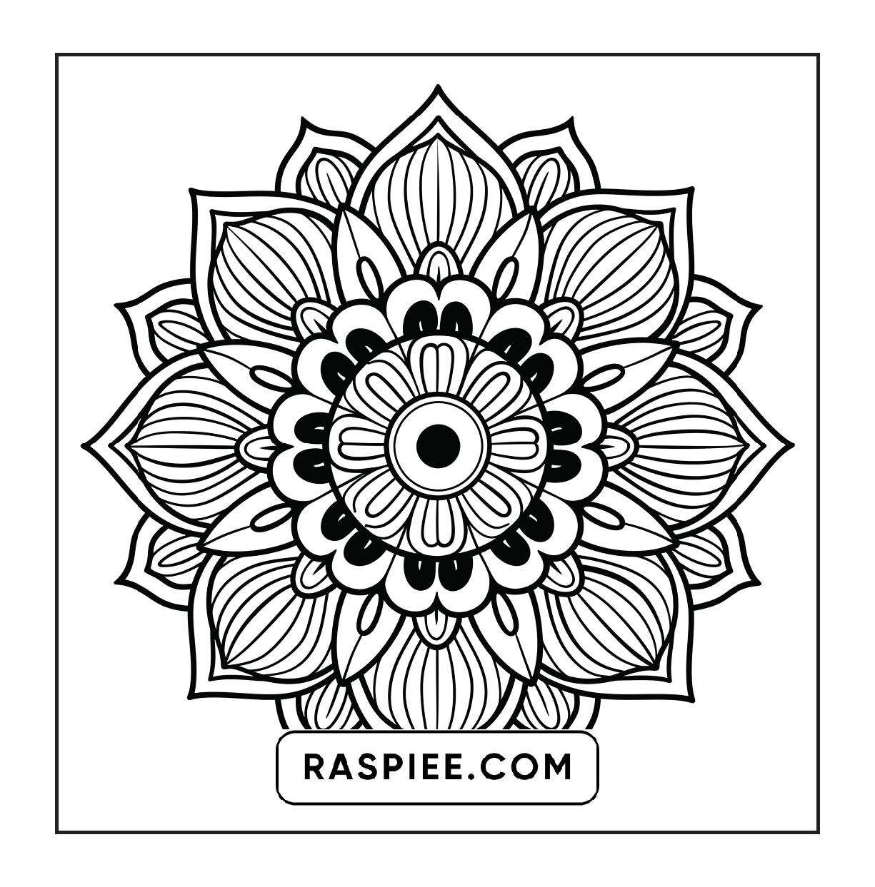 250 Mandala Adult Coloring Pages Vol.1