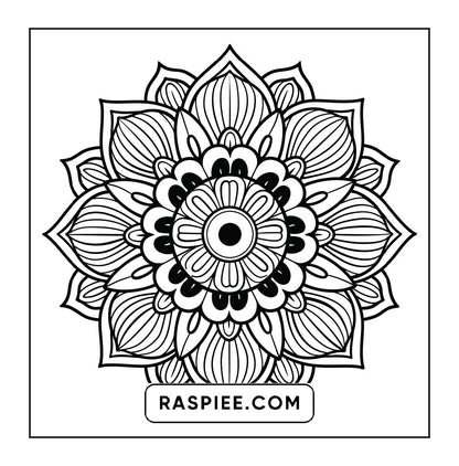250 Mandala Adult Coloring Pages Vol.1