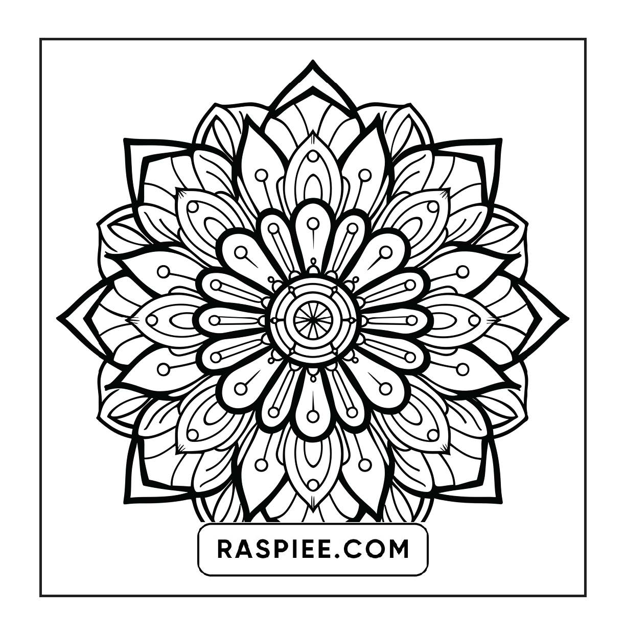 250 Mandala Adult Coloring Pages Vol.1