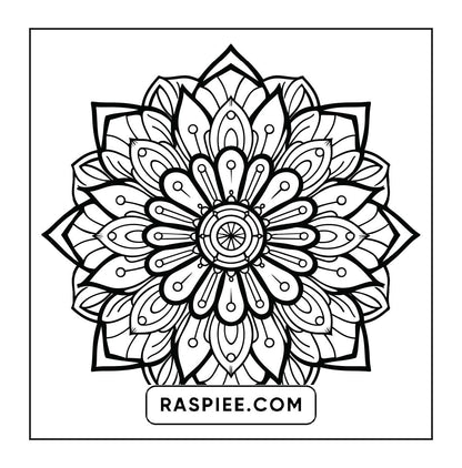 250 Mandala Adult Coloring Pages Vol.1