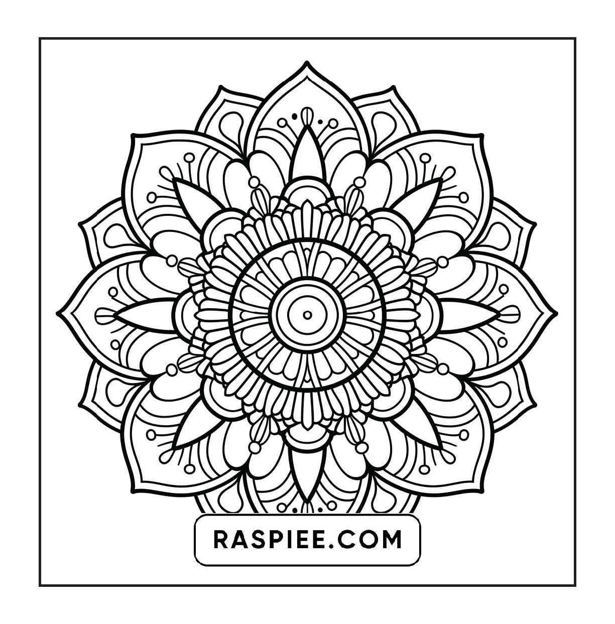 250 Mandala Adult Coloring Pages Vol.1