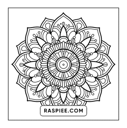 250 Mandala Adult Coloring Pages Vol.1
