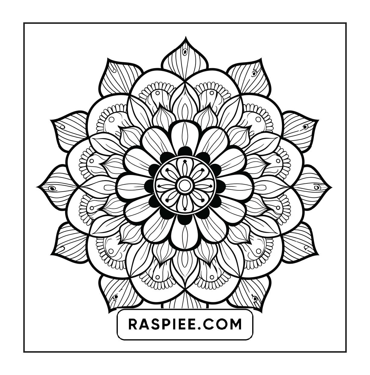 250 Mandala Adult Coloring Pages Vol.1