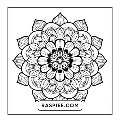250 Mandala Adult Coloring Pages Vol.1