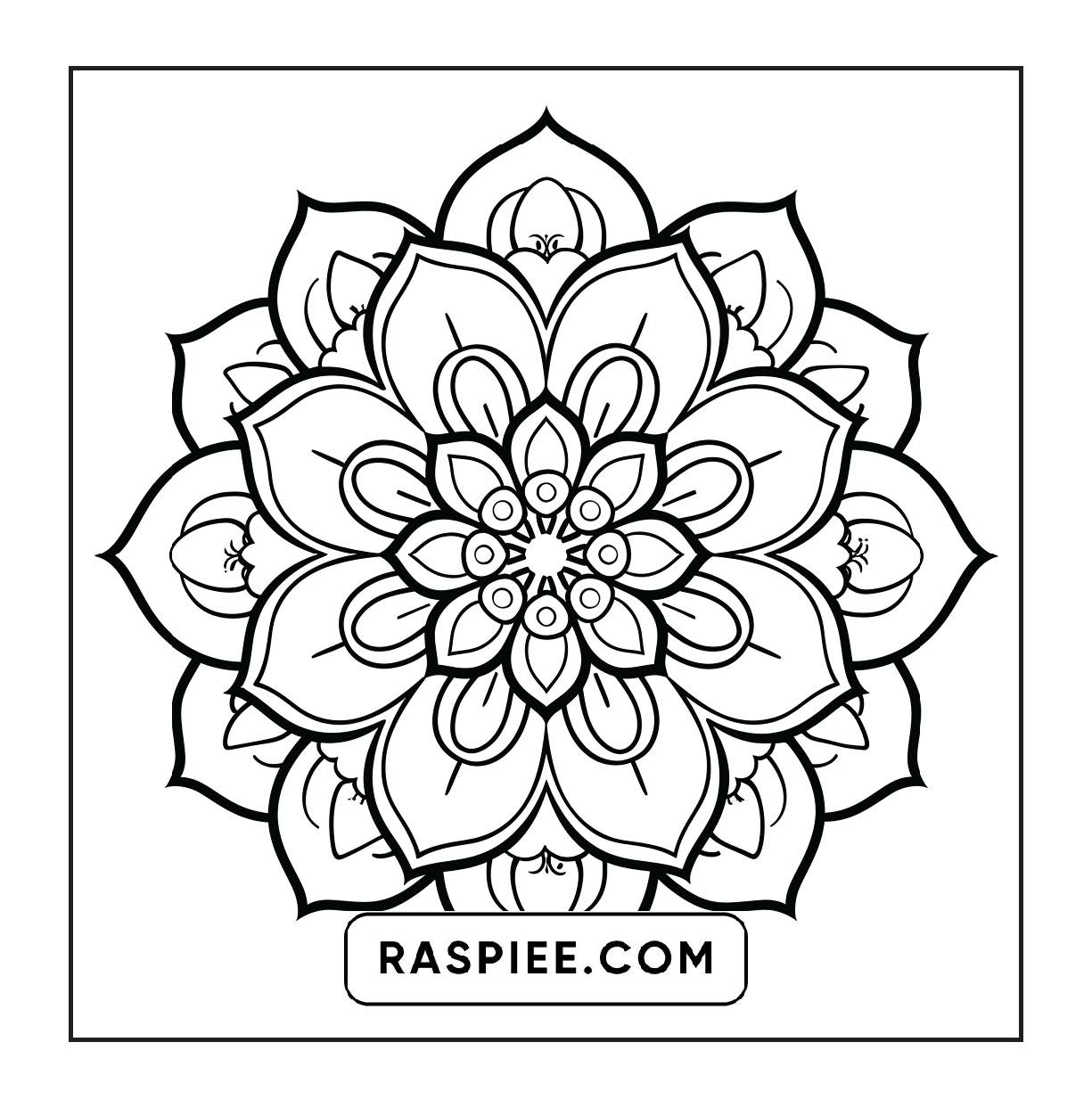 250 Mandala Adult Coloring Pages Vol.1