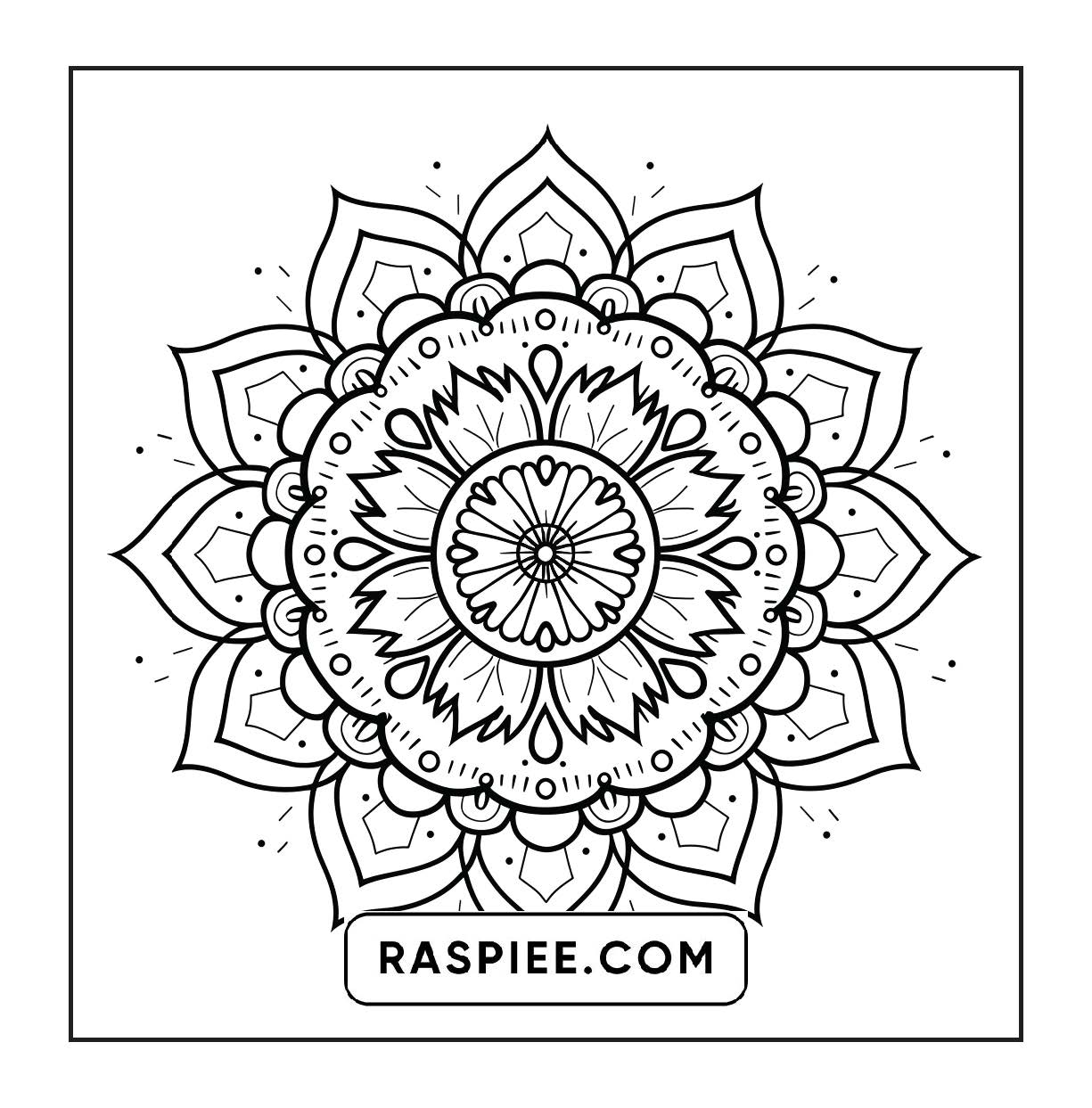250 Mandala Adult Coloring Pages Vol.1