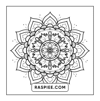 250 Mandala Adult Coloring Pages Vol.1