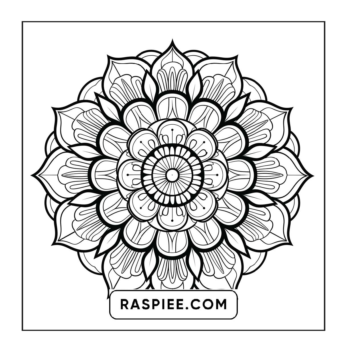 250 Mandala Adult Coloring Pages Vol.1