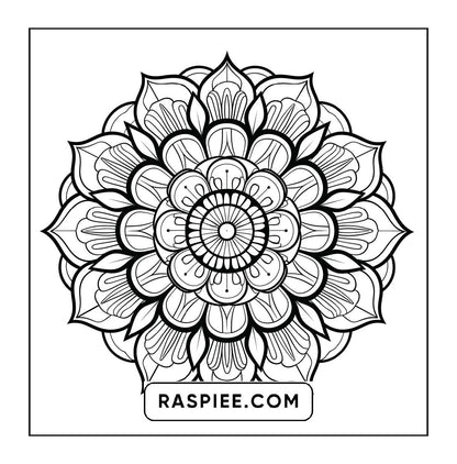 250 Mandala Adult Coloring Pages Vol.1