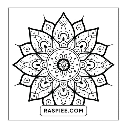 250 Mandala Adult Coloring Pages Vol.1