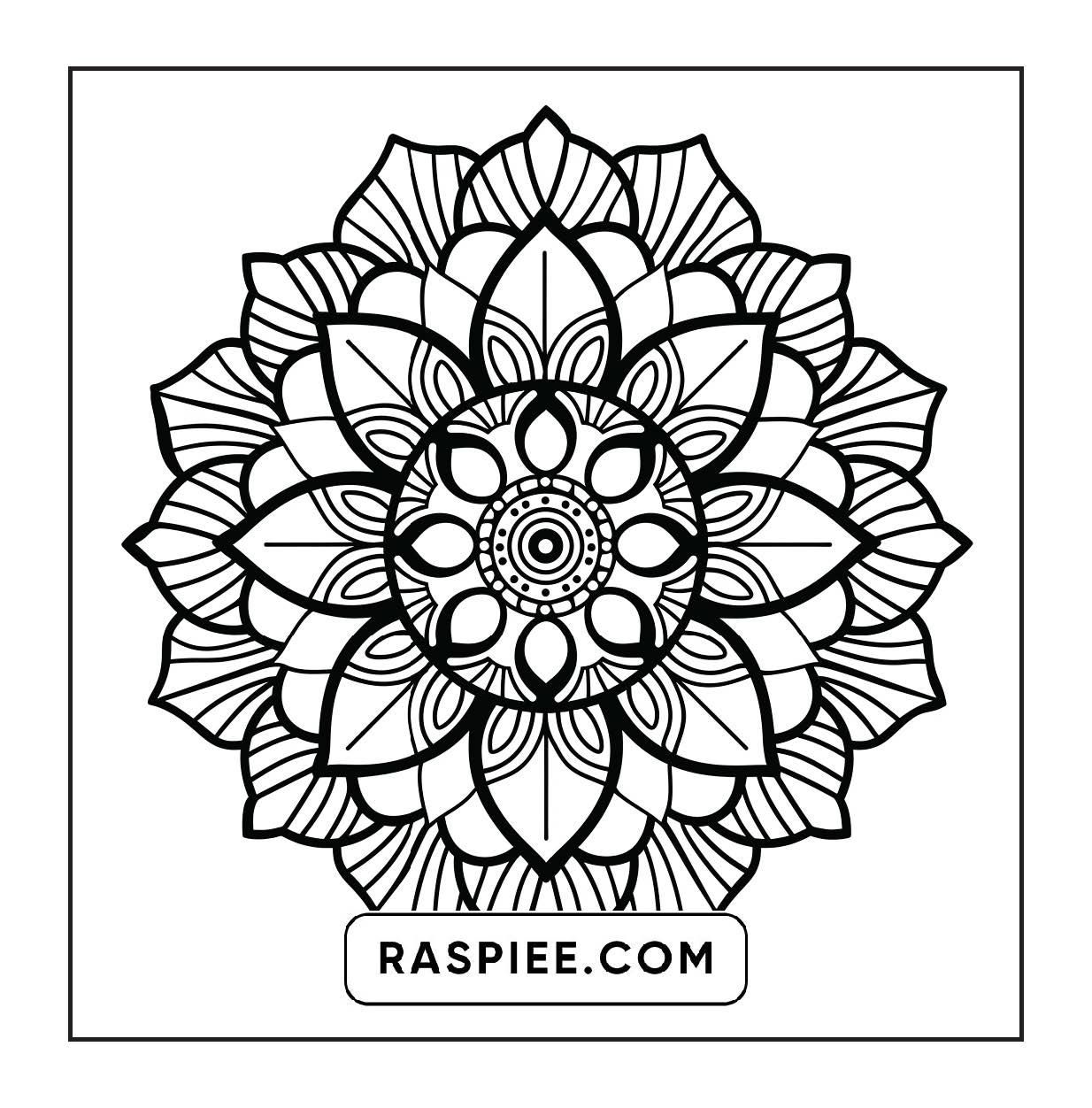 250 Mandala Adult Coloring Pages Vol.1