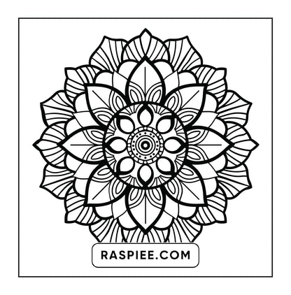 250 Mandala Adult Coloring Pages Vol.1