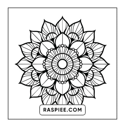 250 Mandala Adult Coloring Pages Vol.1