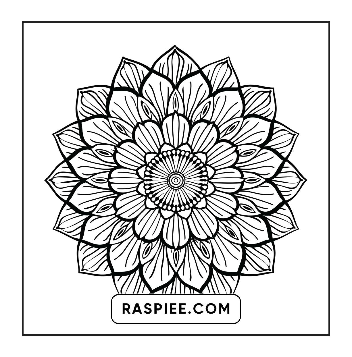 250 Mandala Adult Coloring Pages Vol.1