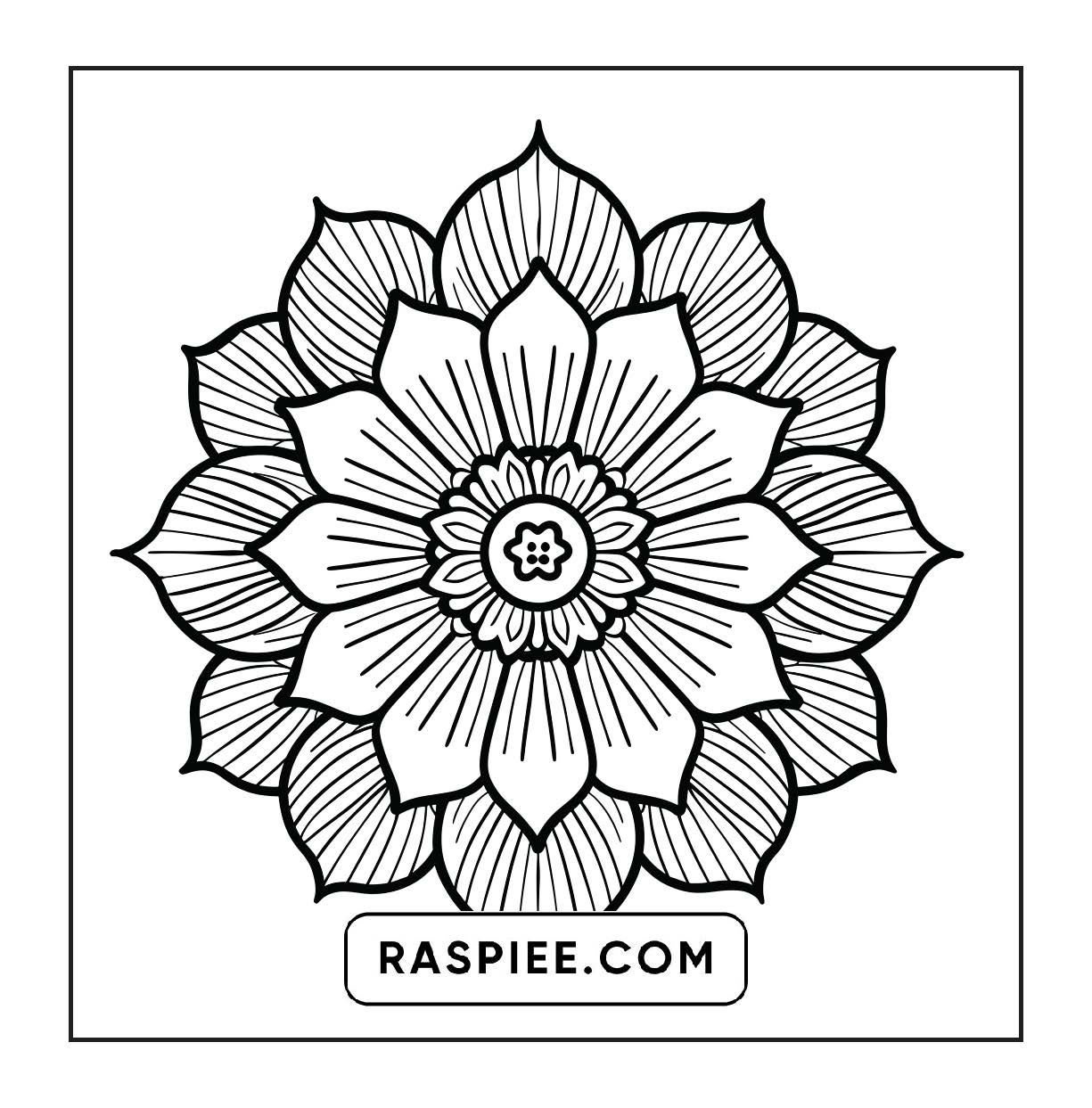 250 Mandala Adult Coloring Pages Vol.1