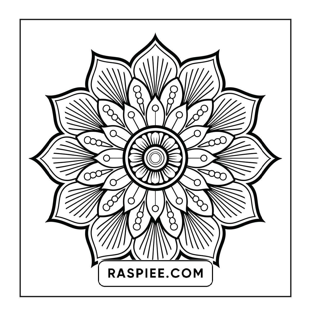 250 Mandala Adult Coloring Pages Vol.1