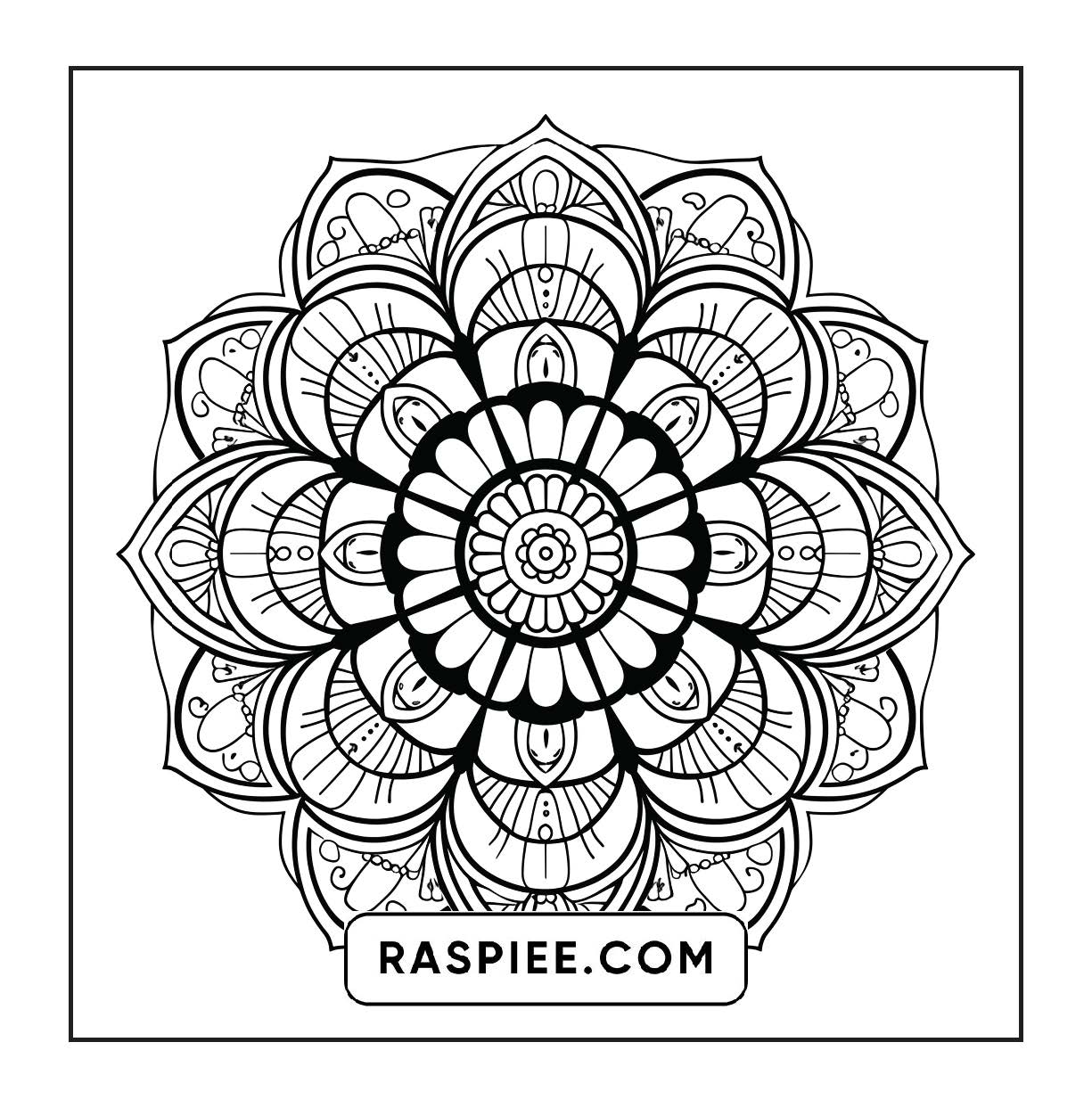 250 Mandala Adult Coloring Pages Vol.1