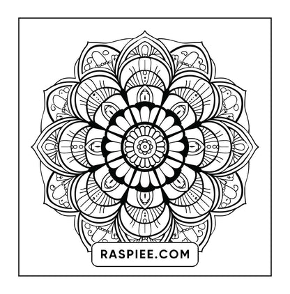250 Mandala Adult Coloring Pages Vol.1