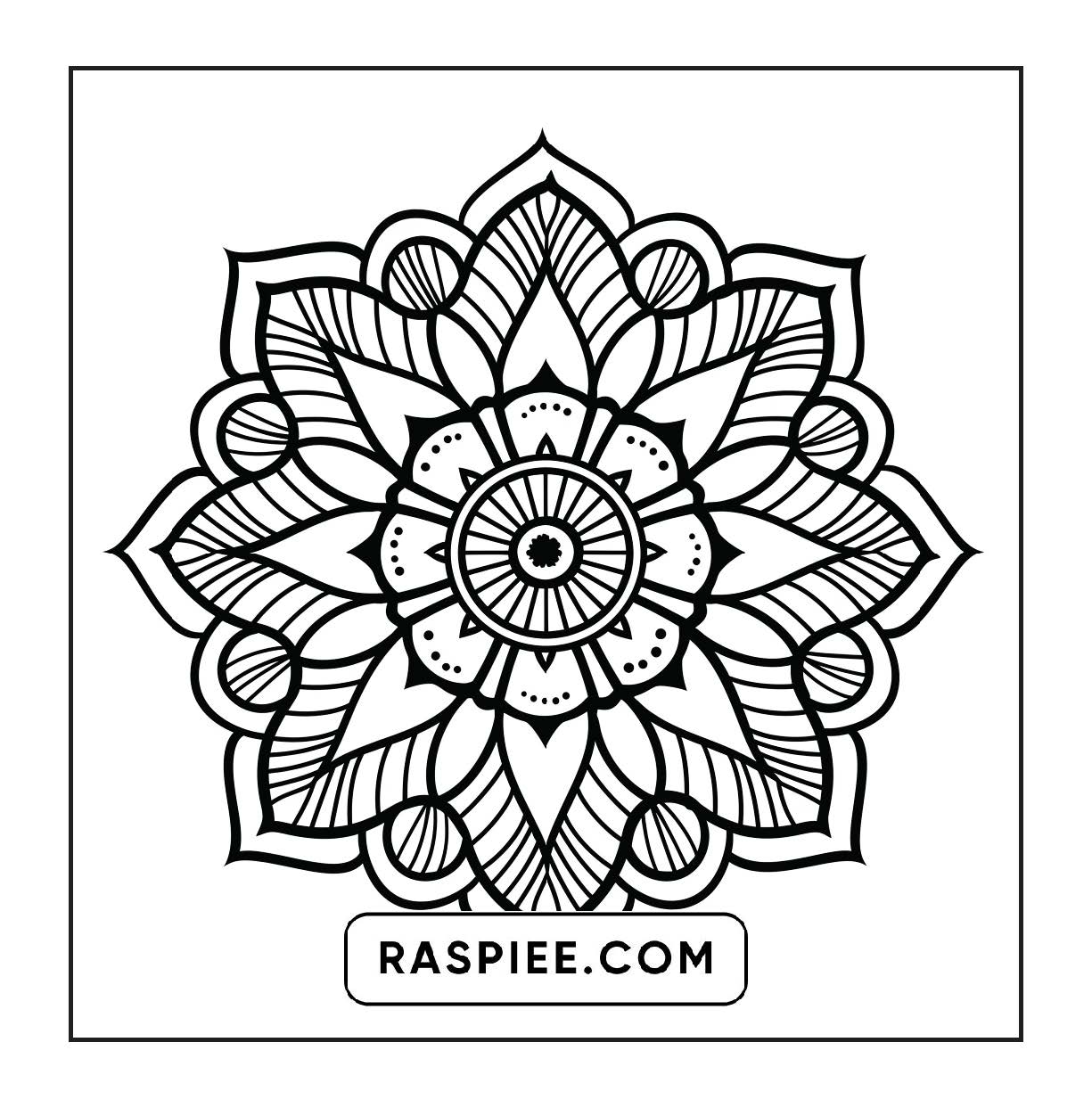 250 Mandala Adult Coloring Pages Vol.1