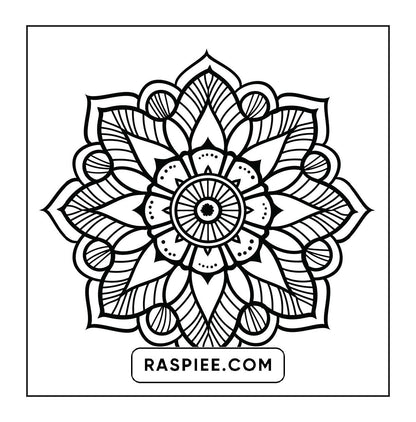 250 Mandala Adult Coloring Pages Vol.1