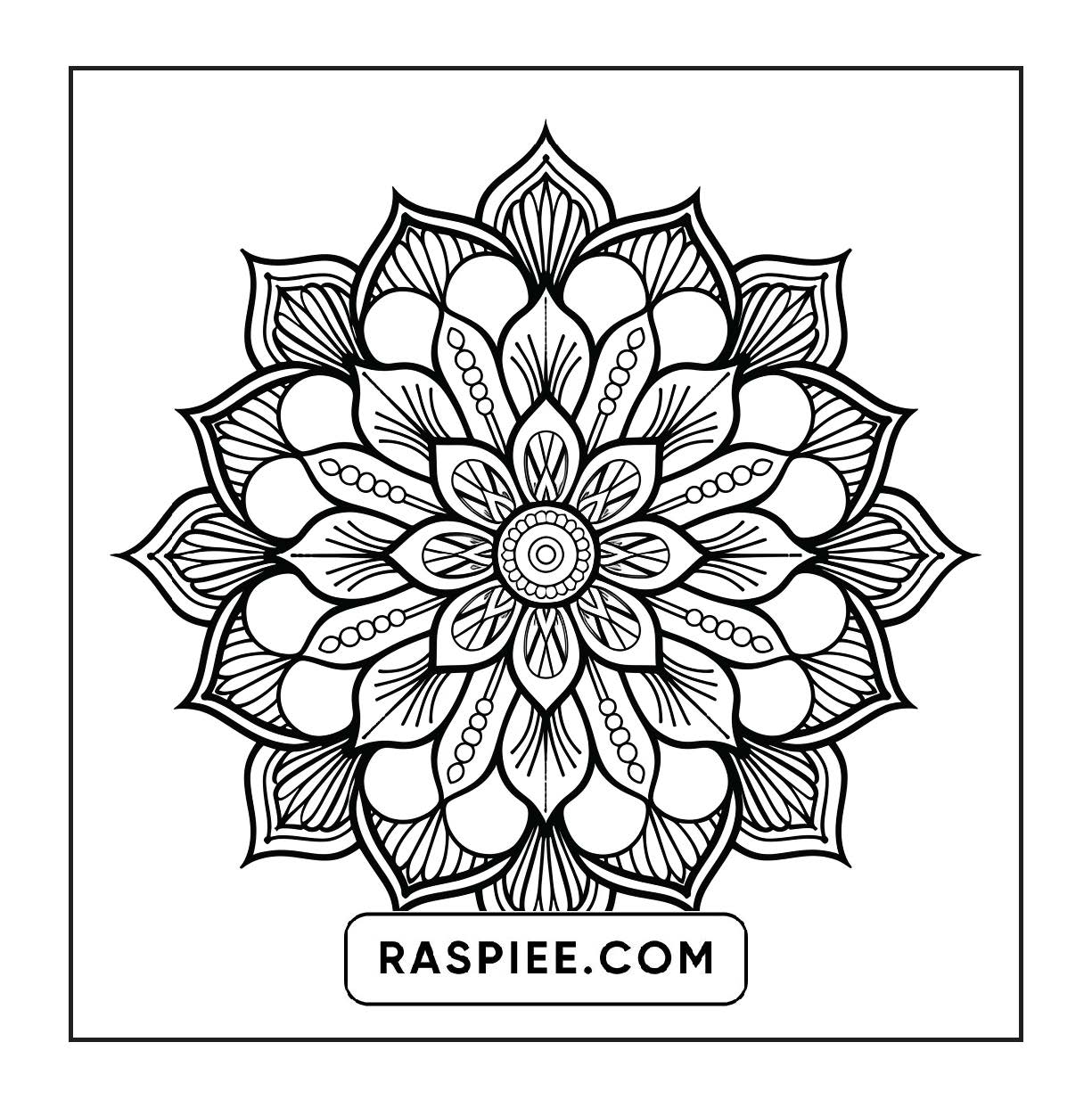 250 Mandala Adult Coloring Pages Vol.1