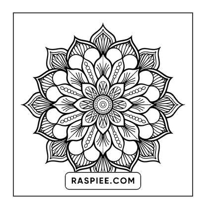 250 Mandala Adult Coloring Pages Vol.1