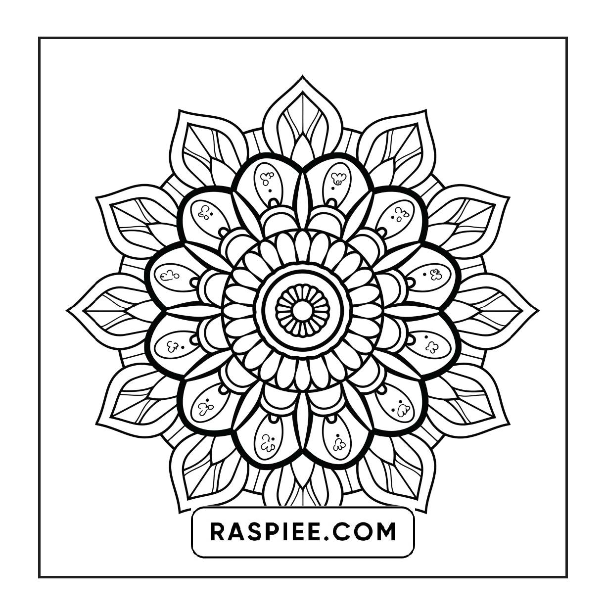 250 Mandala Adult Coloring Pages Vol.1