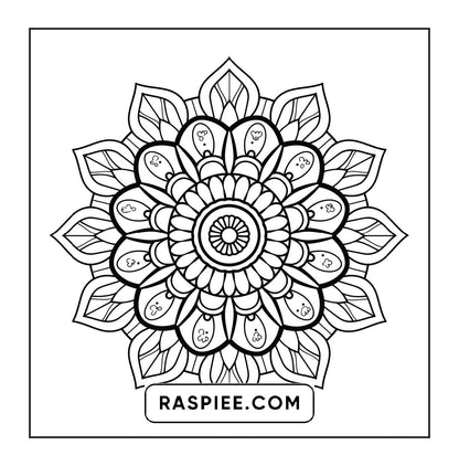 250 Mandala Adult Coloring Pages Vol.1