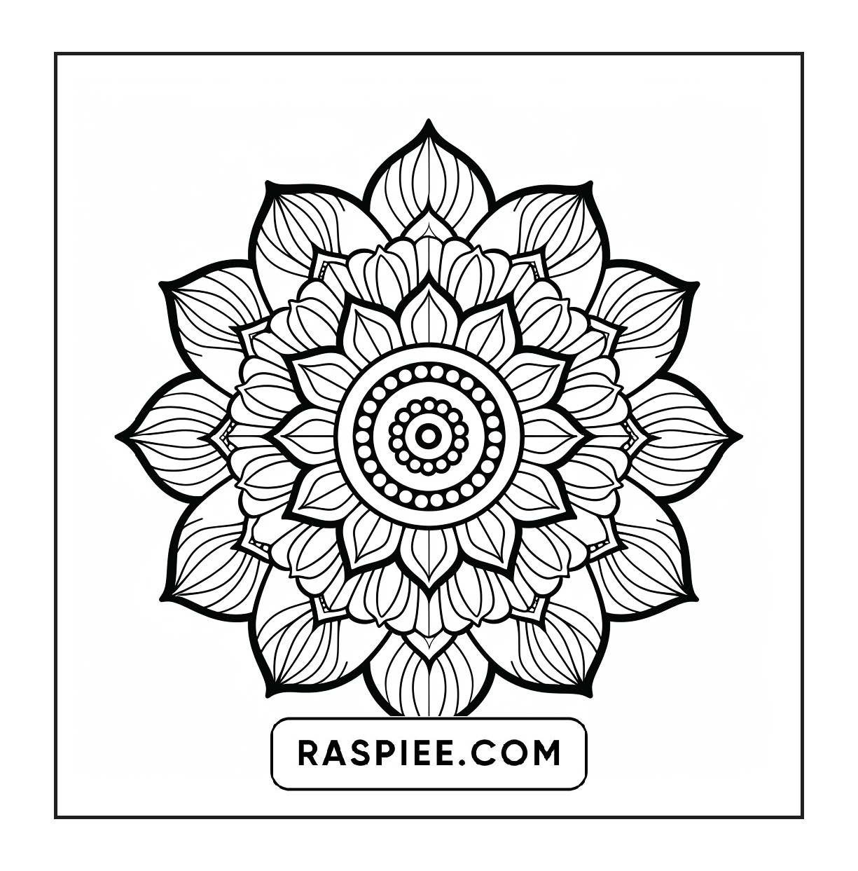 250 Mandala Adult Coloring Pages Vol.1