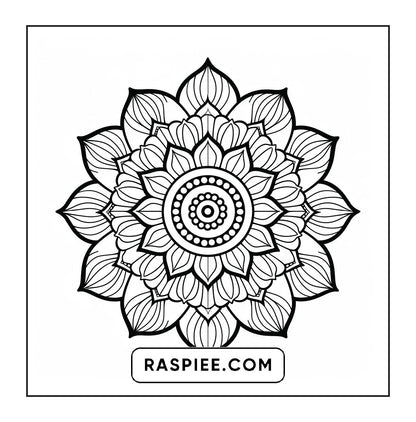 250 Mandala Adult Coloring Pages Vol.1