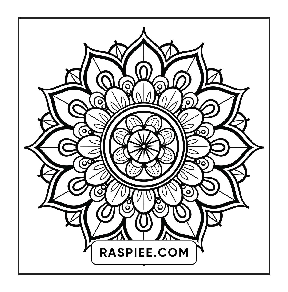 250 Mandala Adult Coloring Pages Vol.1