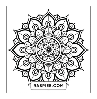 250 Mandala Adult Coloring Pages Vol.1
