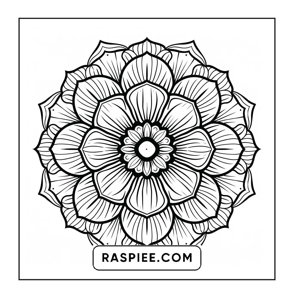 250 Mandala Adult Coloring Pages Vol.1