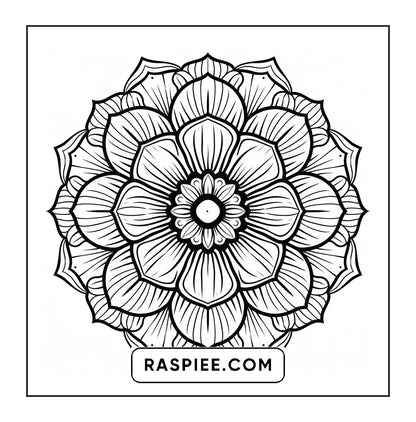 250 Mandala Adult Coloring Pages Vol.1